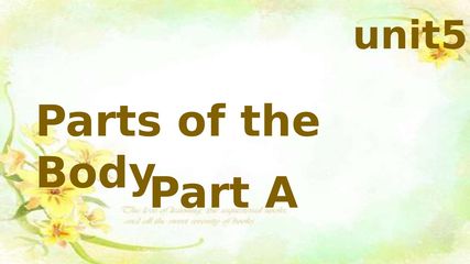 unit 5  parts  of  the  body  part  A