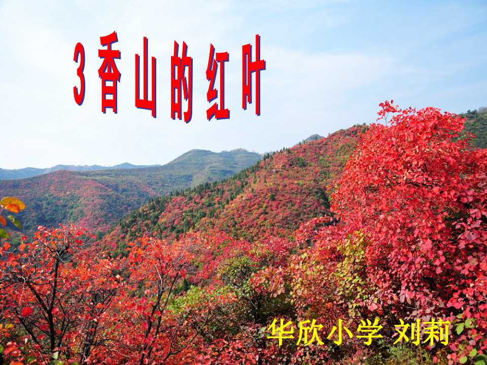 3 香山的红叶