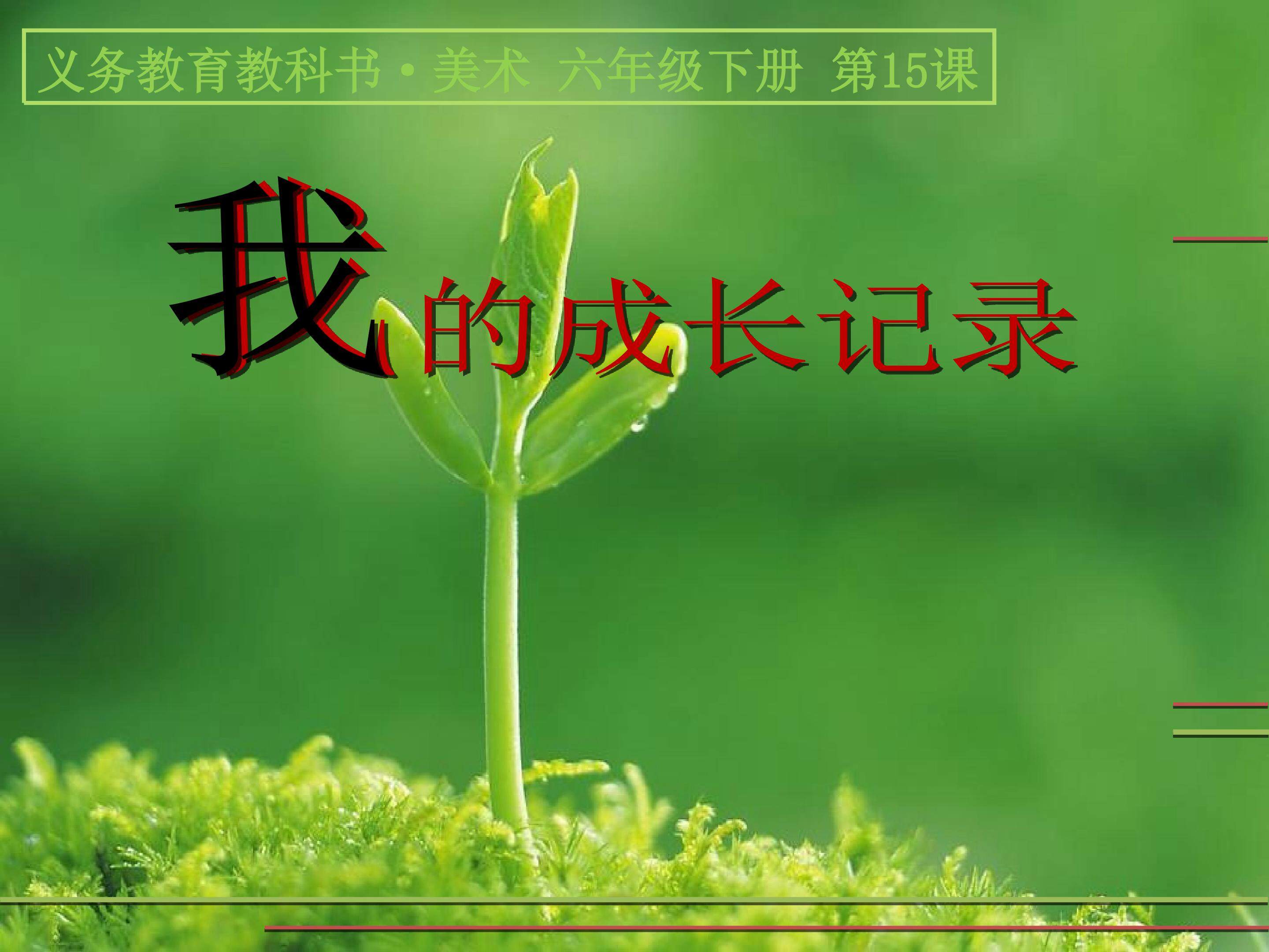 15.我的成长记录