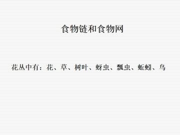 食物链和食物网_课件1