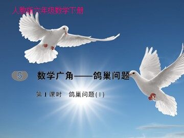 5 数学广角——鸽巢问题