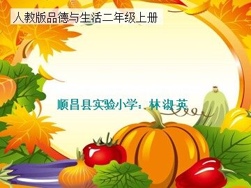 教学课件