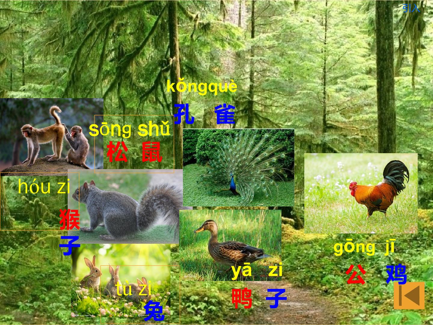 3.jpg