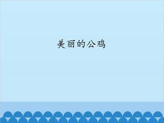 美丽的公鸡_课件1