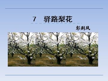 7  驿路梨花