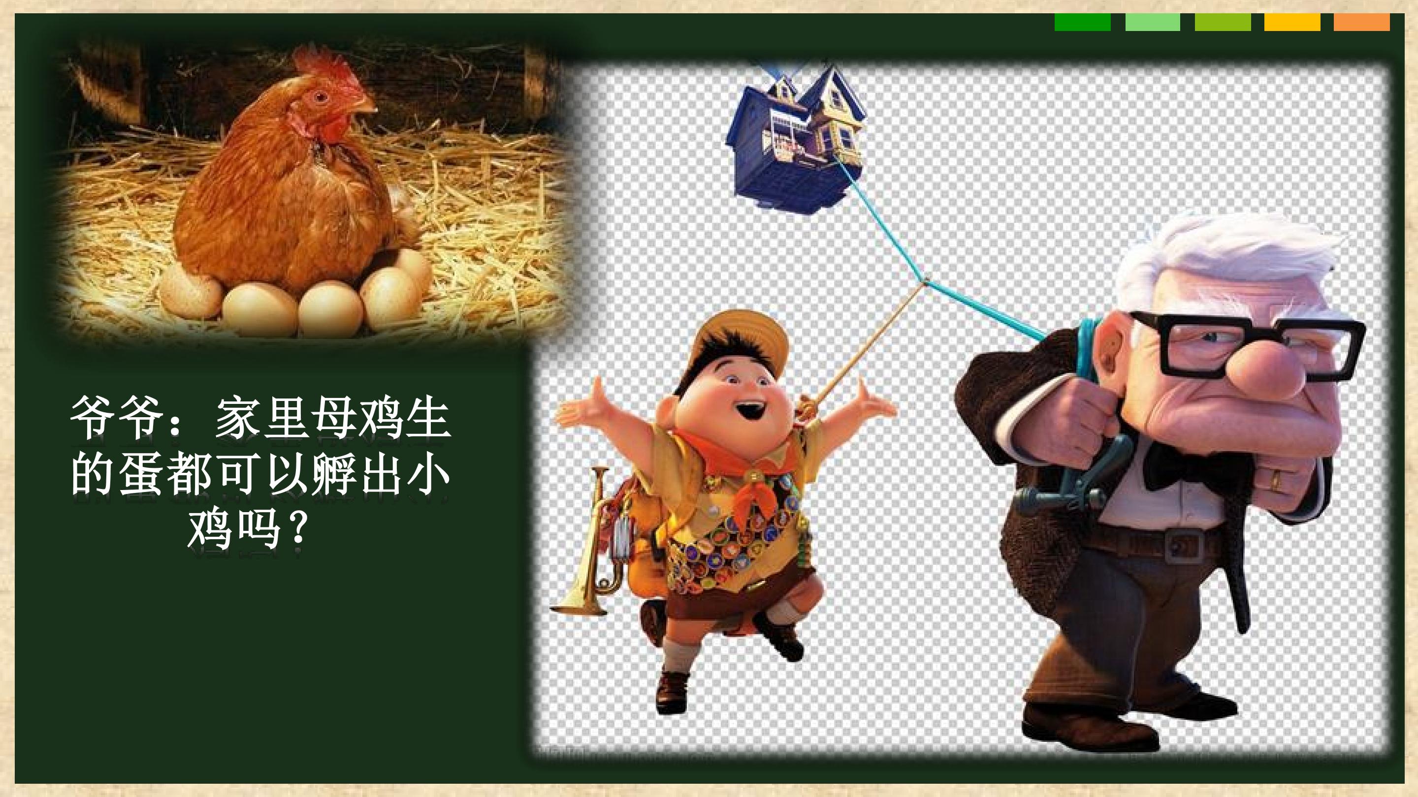 《神奇的鸡蛋》