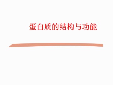 蛋白质的结构和功能_课件1