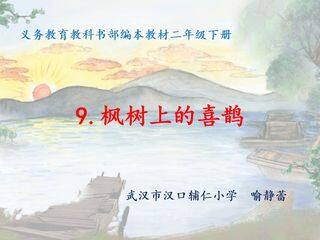 9.枫树上的喜鹊
