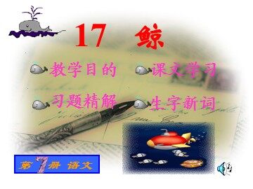 9 鲸