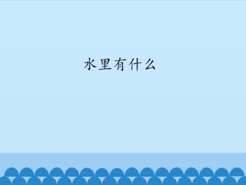 水里有什么_课件1