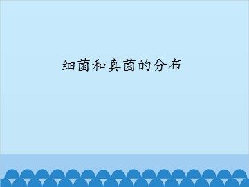 细菌和真菌的分布_课件1