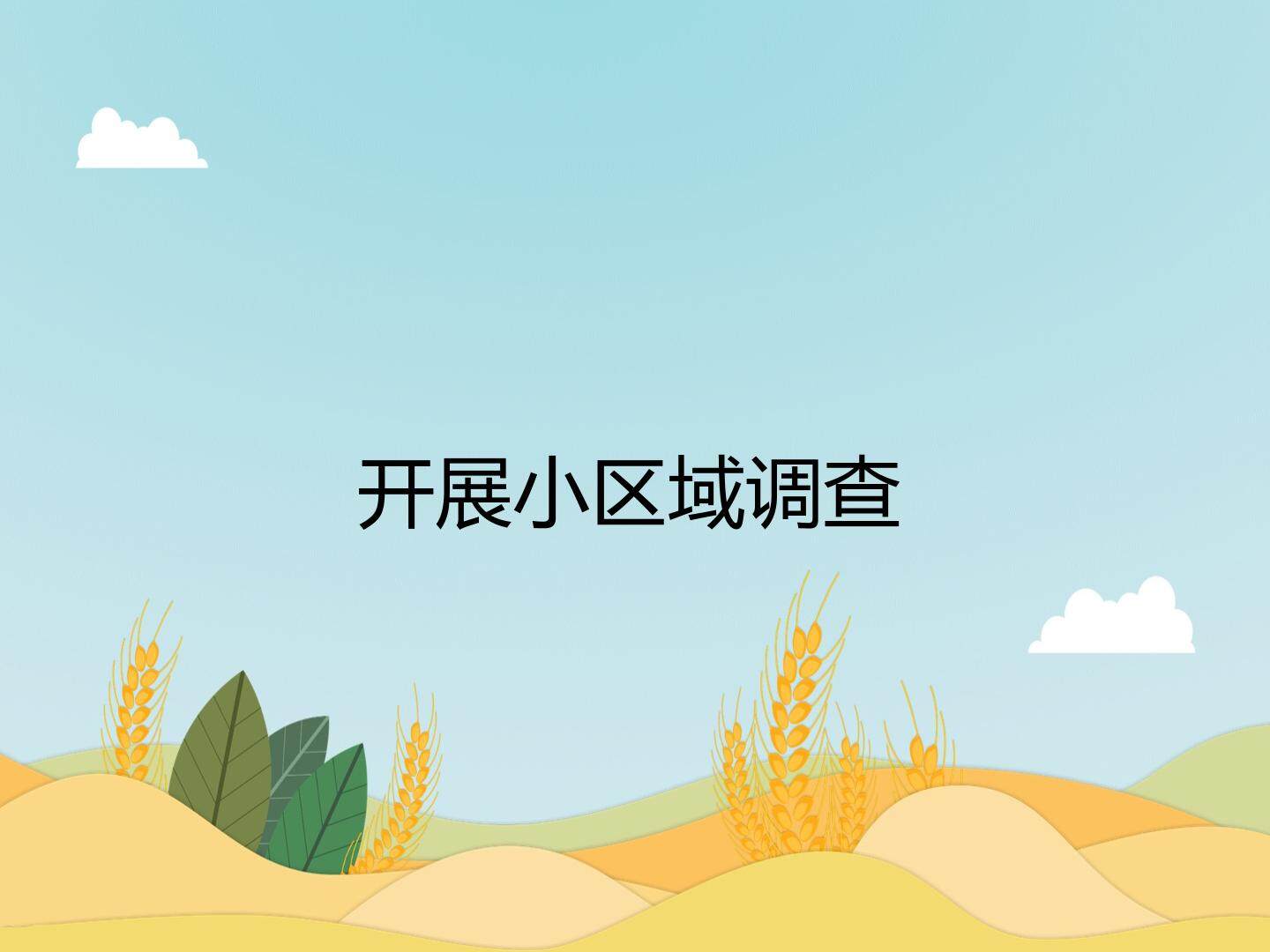 开展小区域调查
