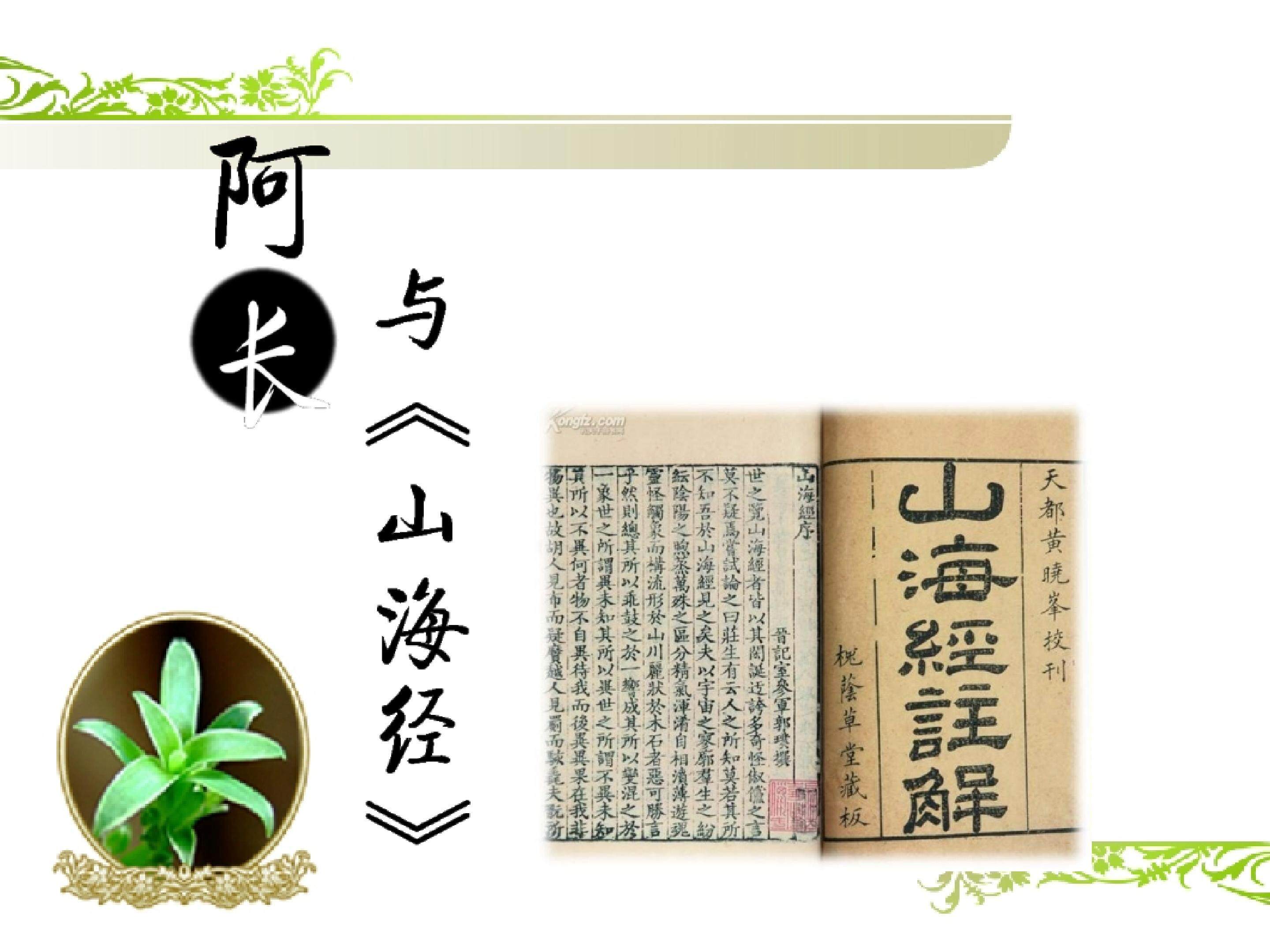 9.阿长与《山海经》