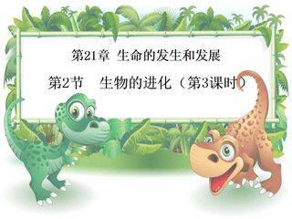 21.2生物的进化(第3课时)