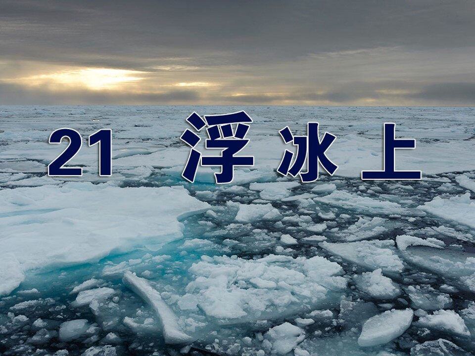 浮冰上