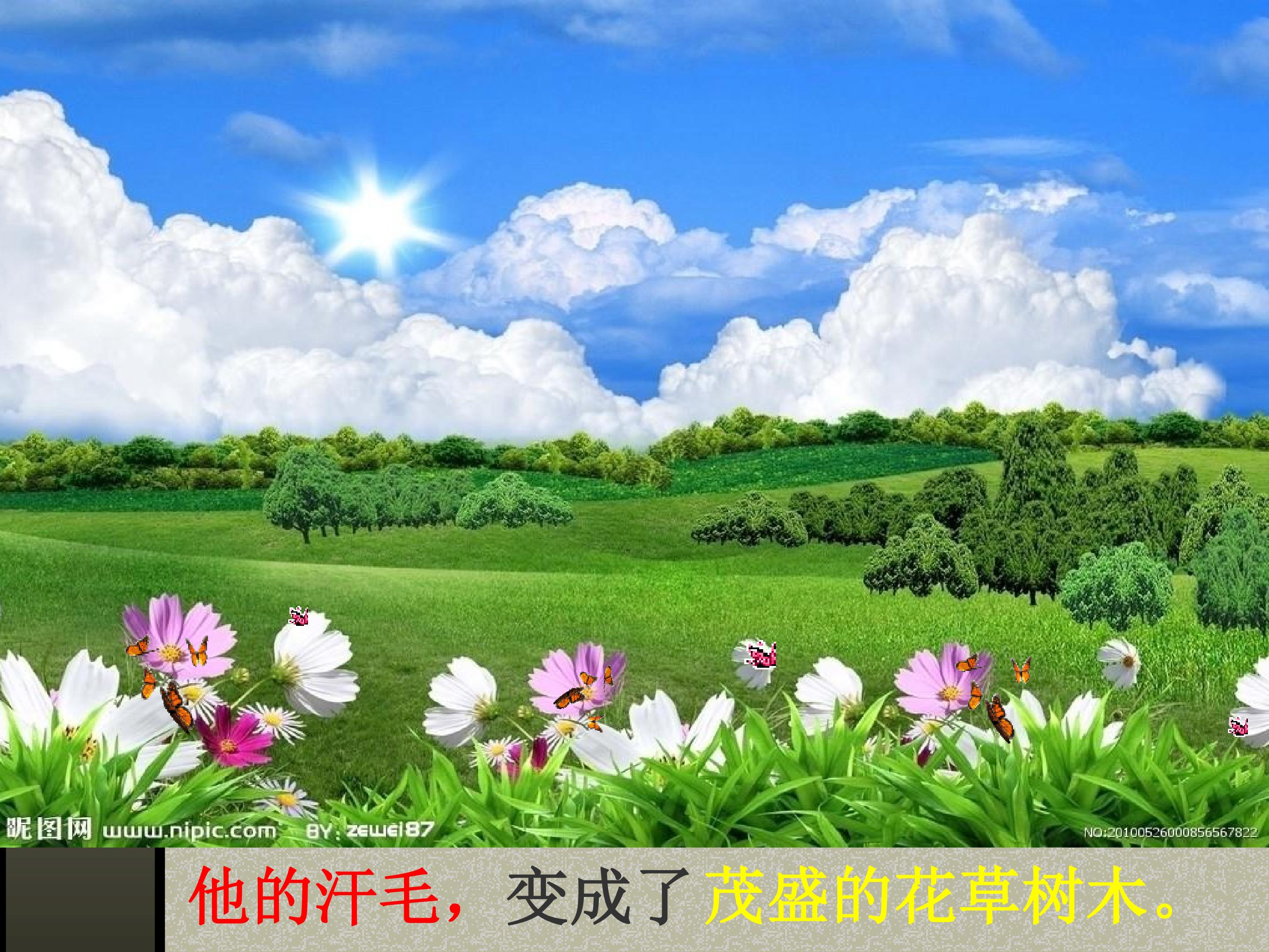 23.jpg