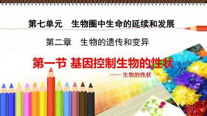 基因控制生物的性状——生物的性状