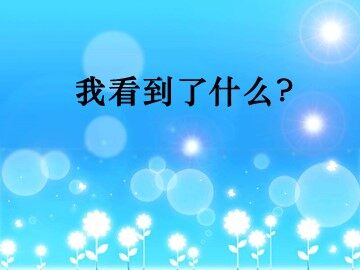 1.我看到了什么
