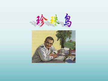 珍珠鸟_课件1