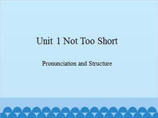 Unit 1 Not Too Short Pronunciation and Structure_课件1
