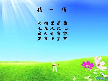 第五节  用眼卫生
