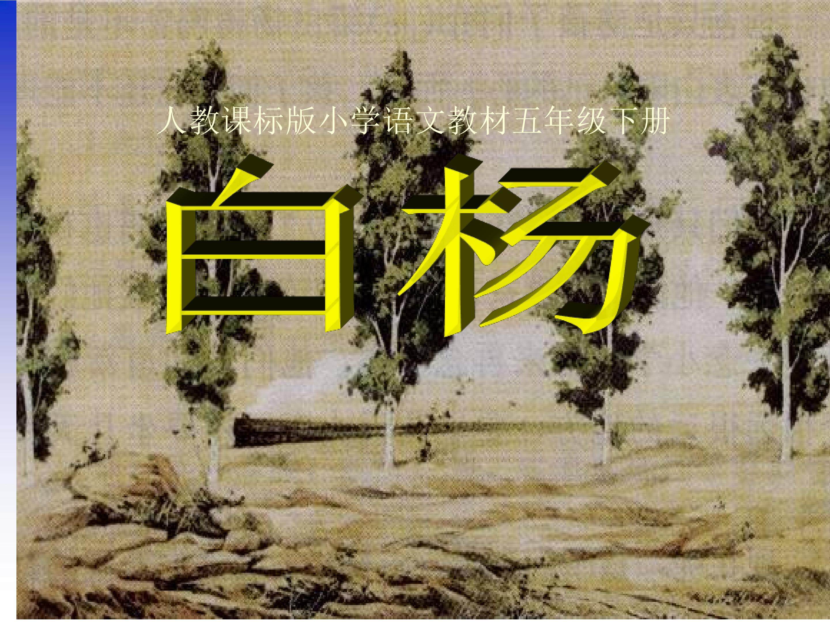 《白杨》