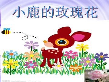 4 小鹿的玫瑰花 