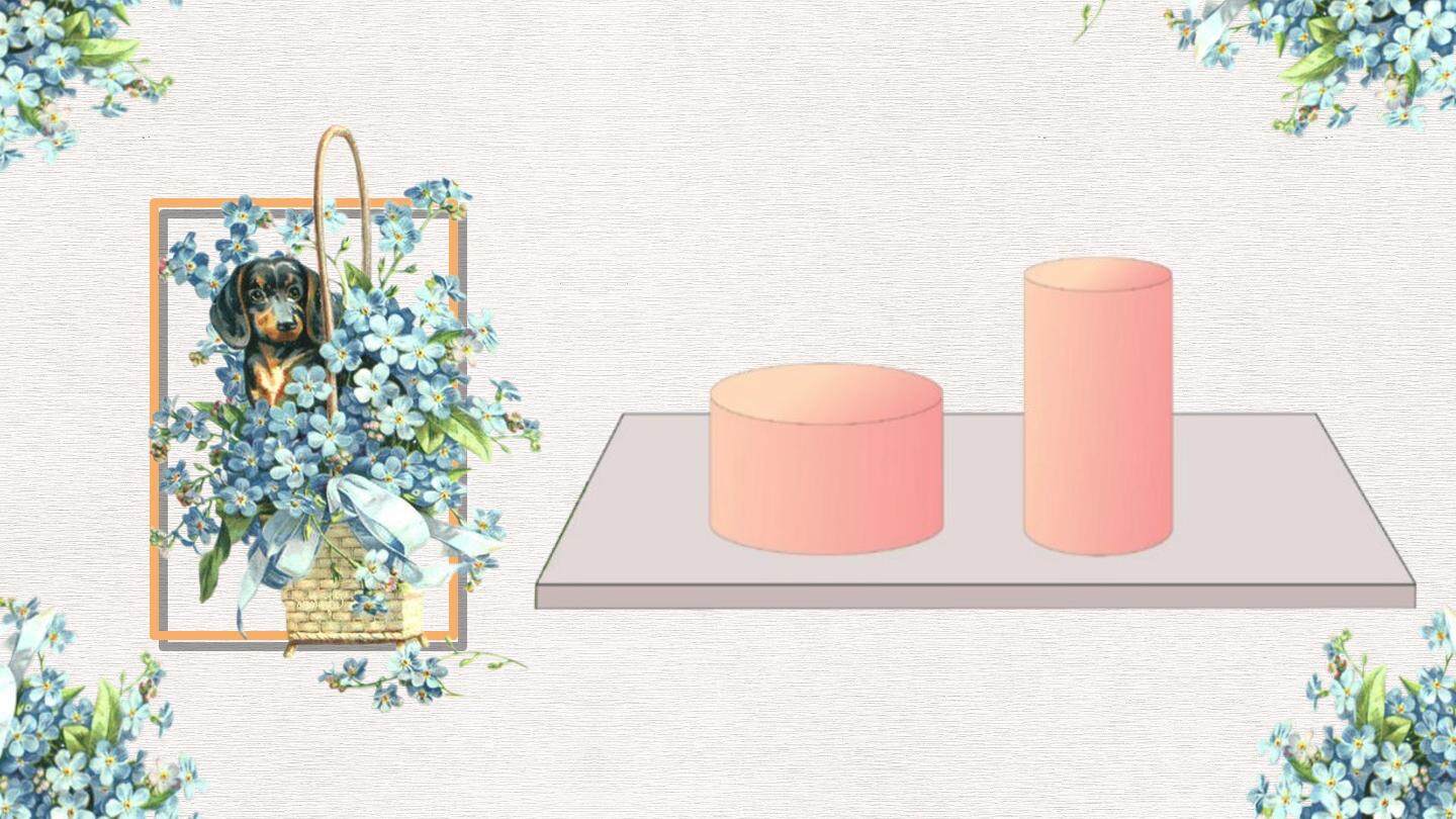《圆柱的表面积》