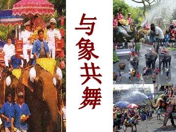 27* 与象共舞