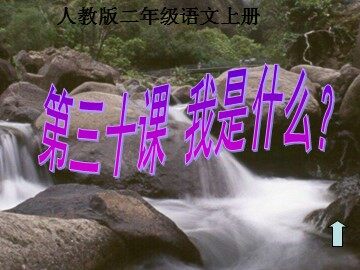 30 我是什么 