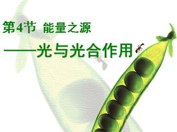 生物高中必修1第五章第四节课件1