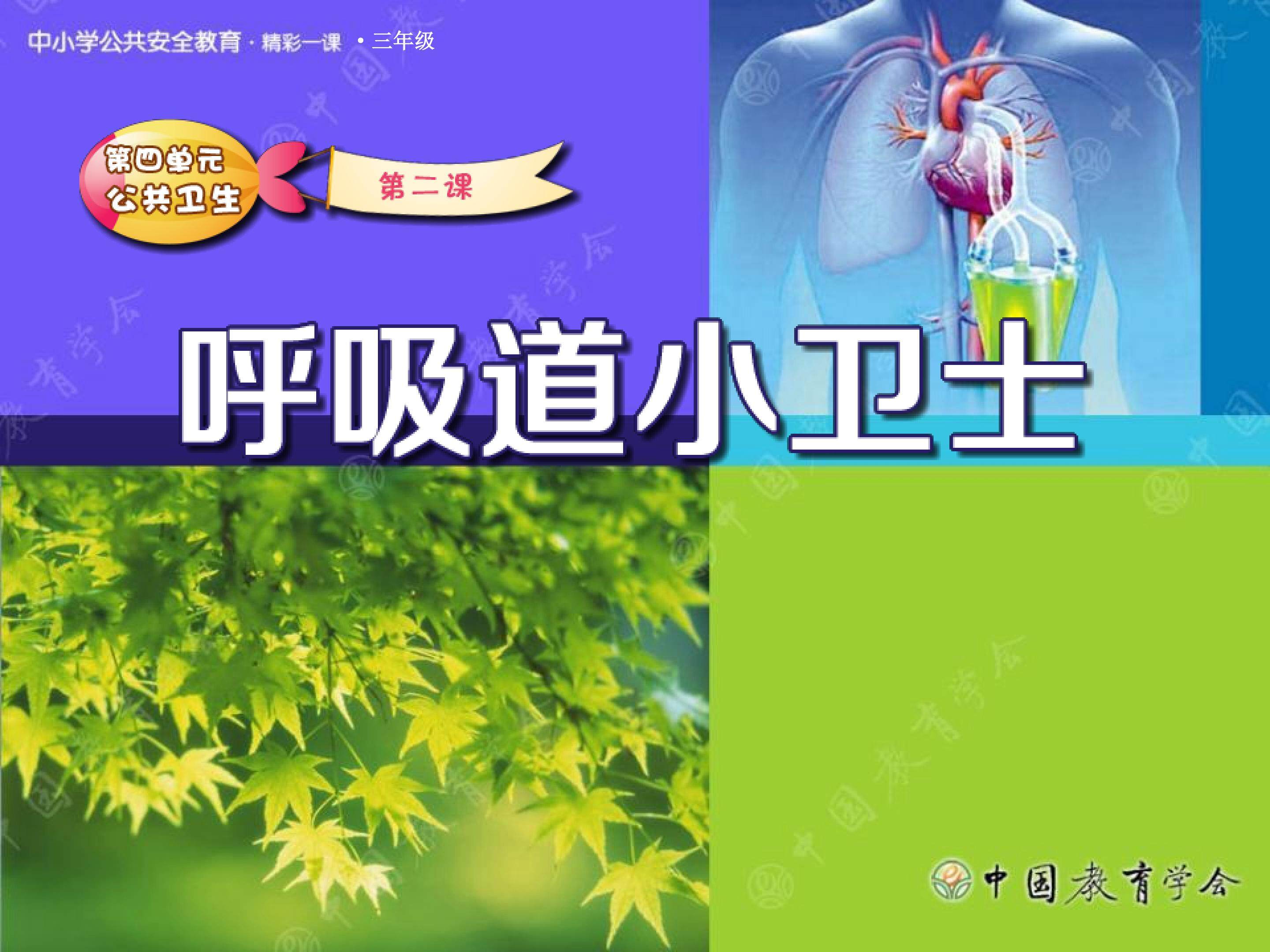 呼吸道小卫士
