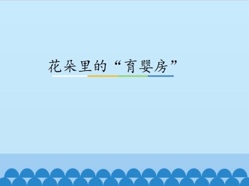 花朵里的“育婴房”_课件1
