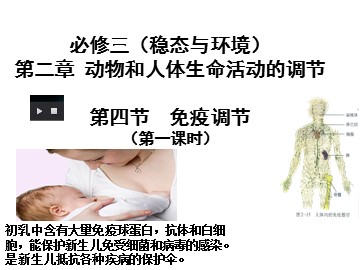 科学·技术·社会 艾滋病——威胁人类的免疫缺陷病