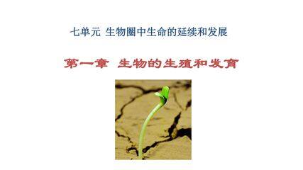 植物的生殖