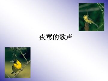 夜莺的歌声_课件1