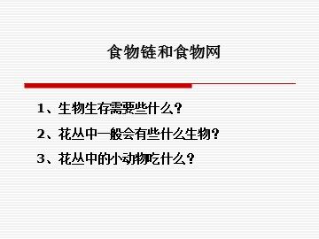 《食物链和食物网》课件 (1)