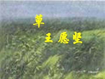 草_课件1