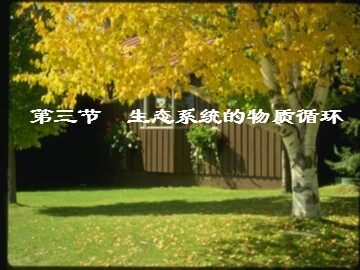 生物高中必修3第五章第三节课件1
