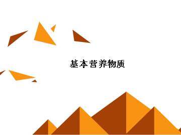 基本营养物质_课件1
