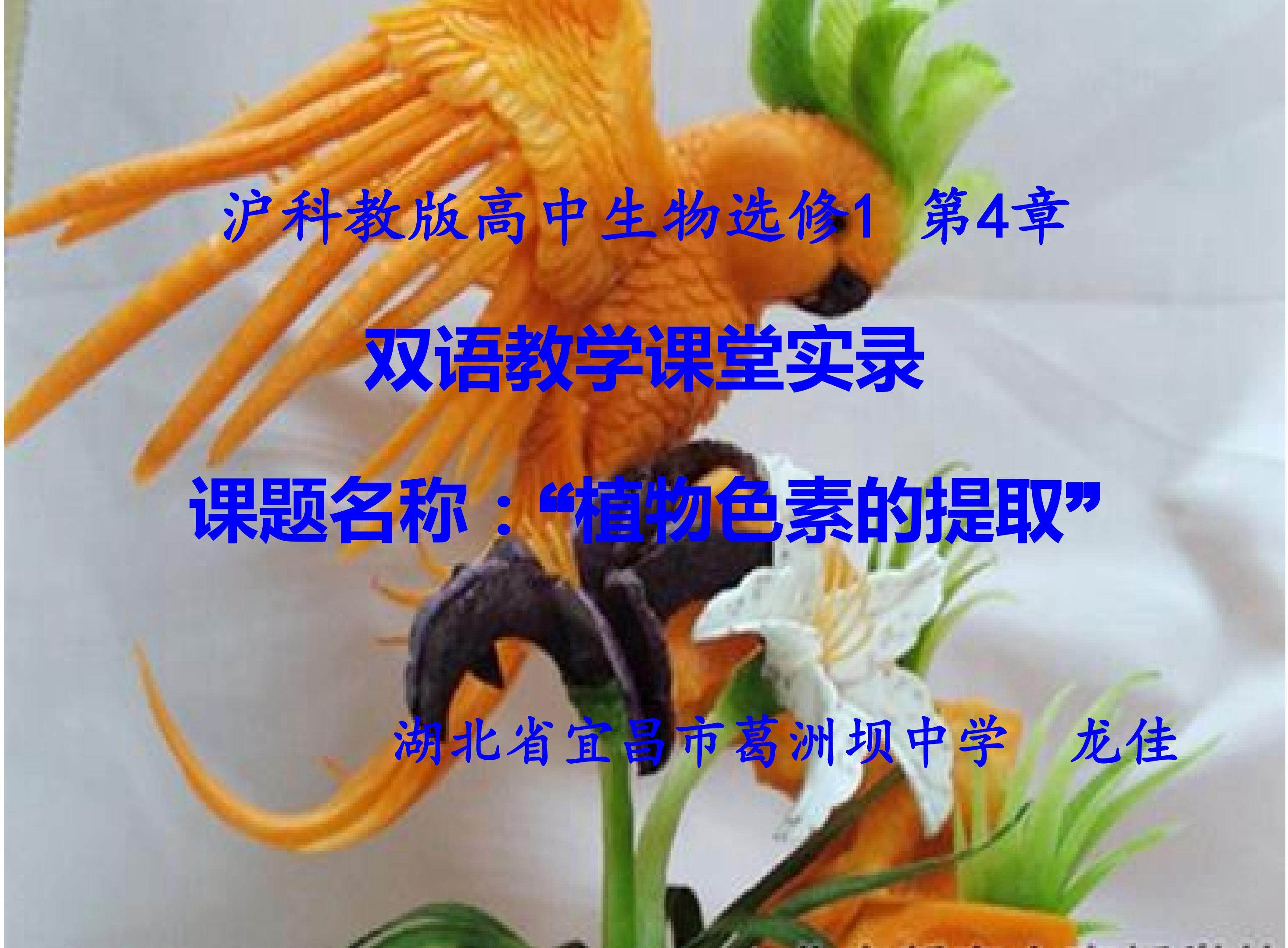 植物色素的提取双语教学PPT