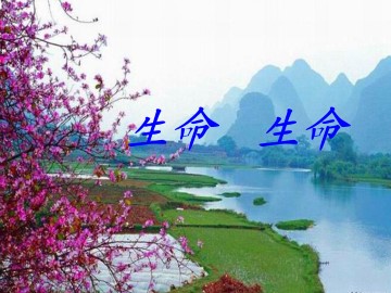 生命 生命_课件1