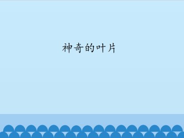 神奇的叶片_课件1