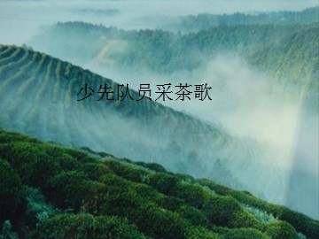 少先队员采茶歌_课件1