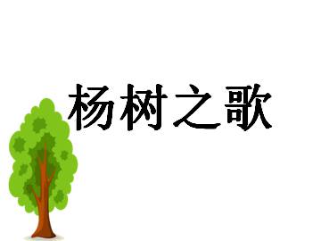 杨树之歌_课件1