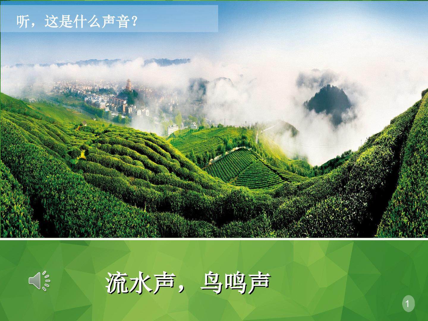 走进大自然