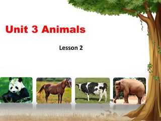 【课件】5年级上册英语人教版新起点Unit 3 Lesson 2 02