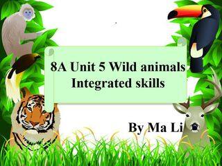 Integrated skills