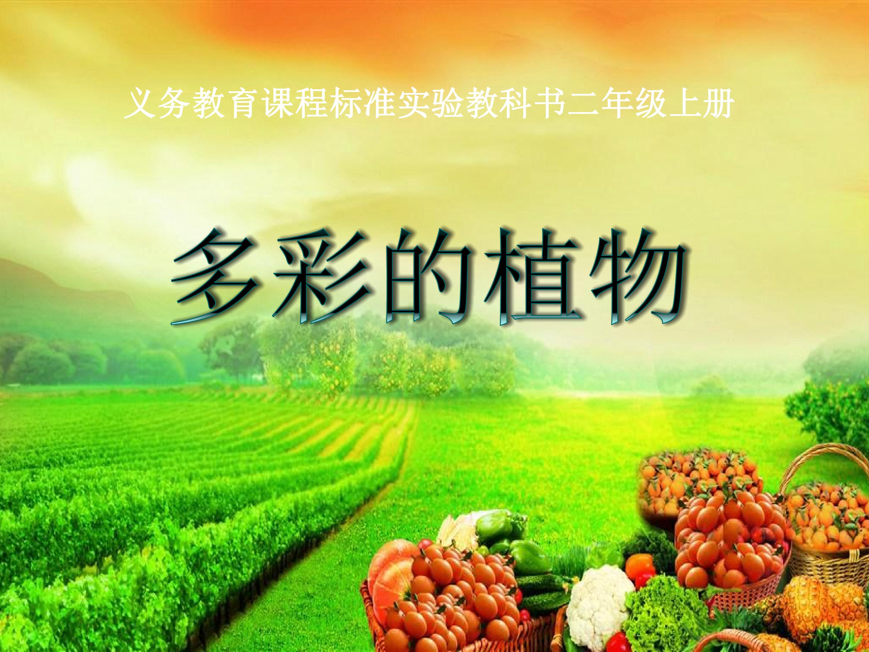 《多彩的植物》PPT