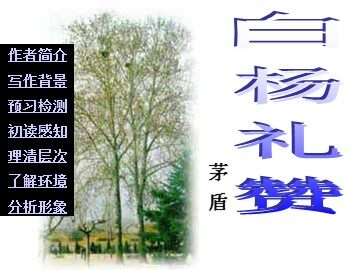 14  白杨礼赞